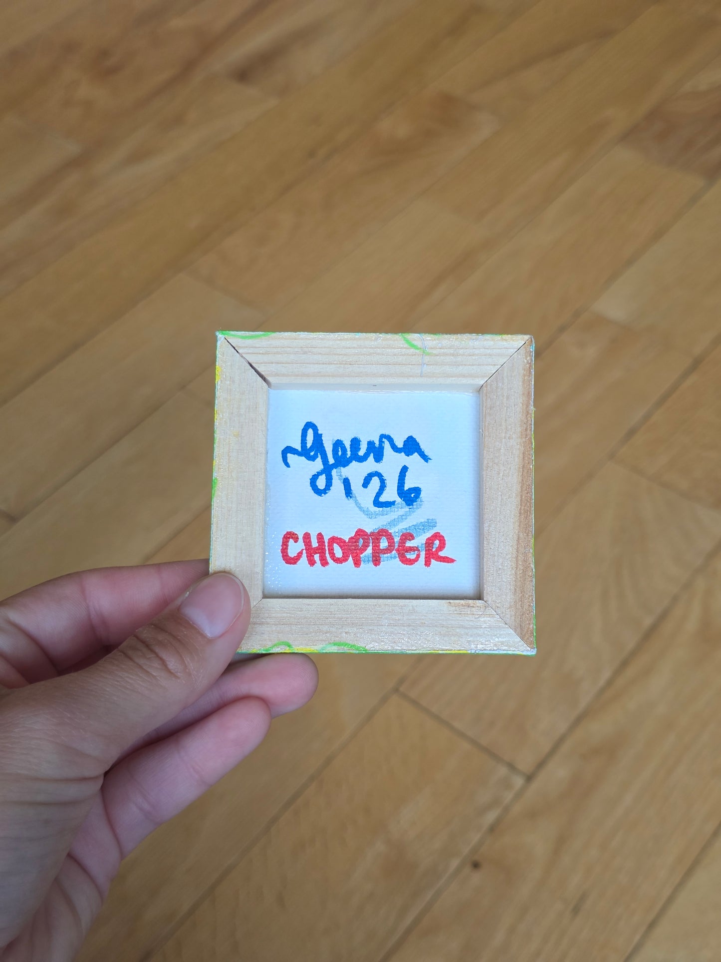 Mini Canvas Raccoon Dog