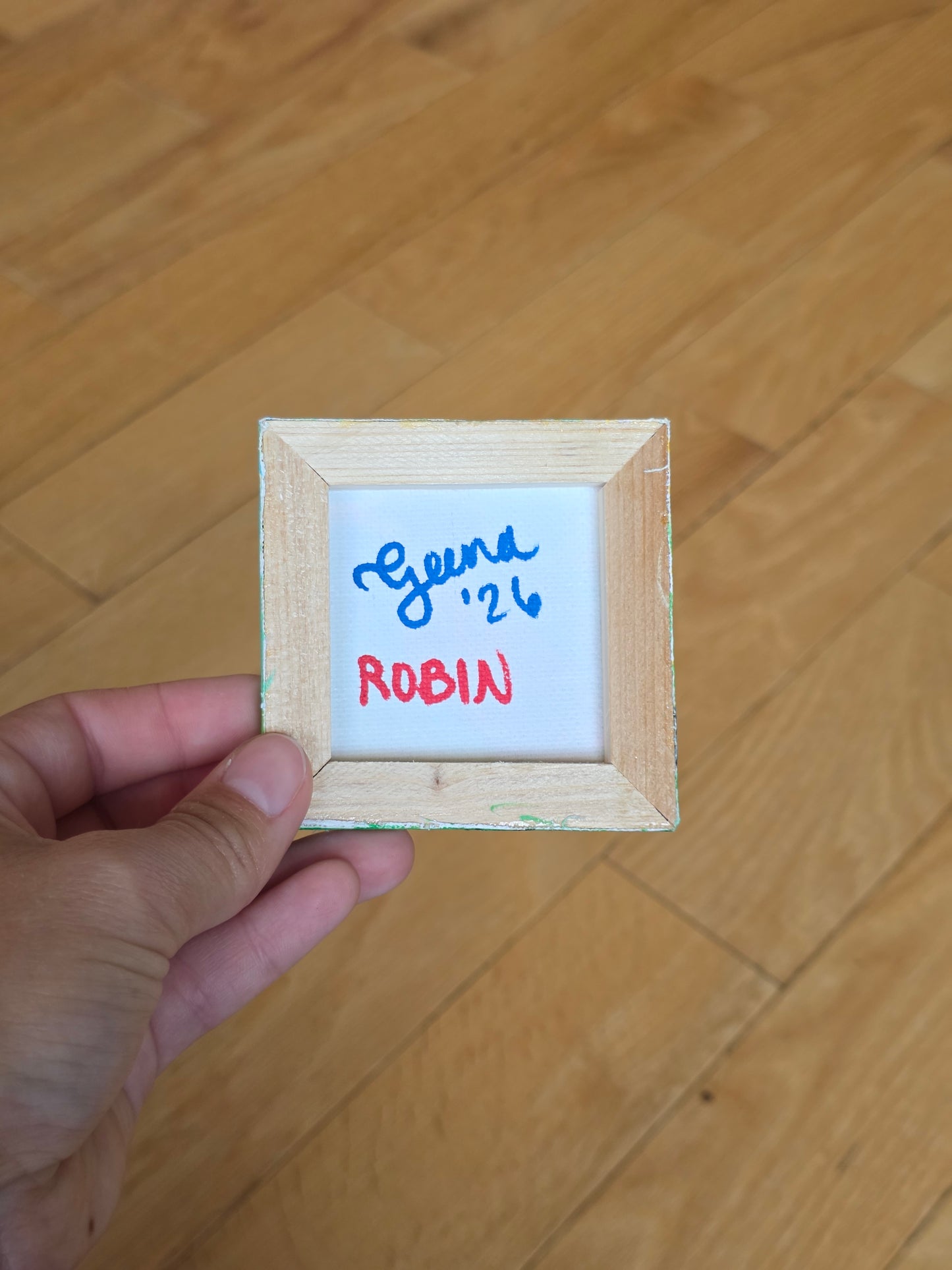Mini Canvas Robin